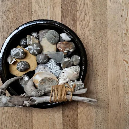 Lf313-hurup-thy-fjordternevej-13